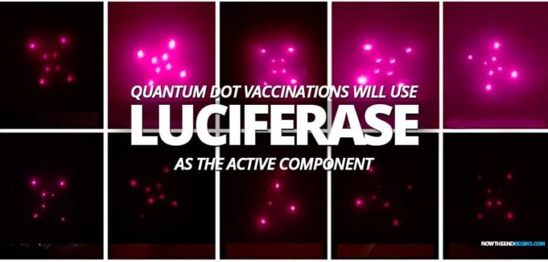 LUCIFERASE, the Bill Gates enzyme to deliver the vaccine