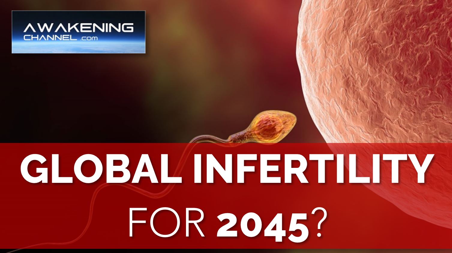 SPERM COUNT Could Reach ZERO by 2045
