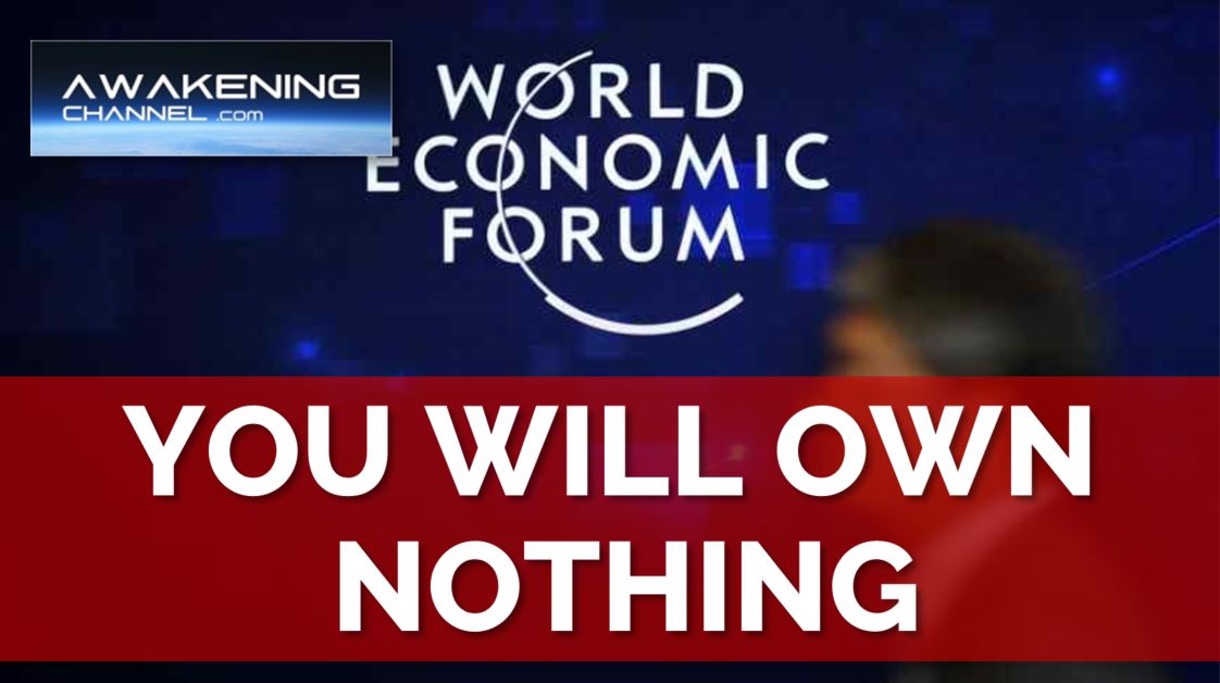YOU WILL OWN NOTHING