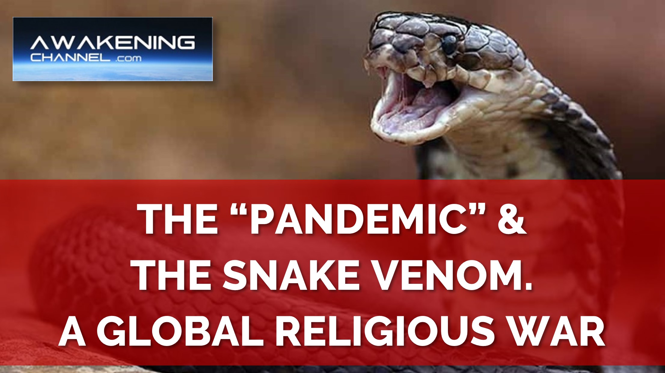 THE "PANDEMIC" & THE SNAKE VENOM - AWAKENING CHANNEL