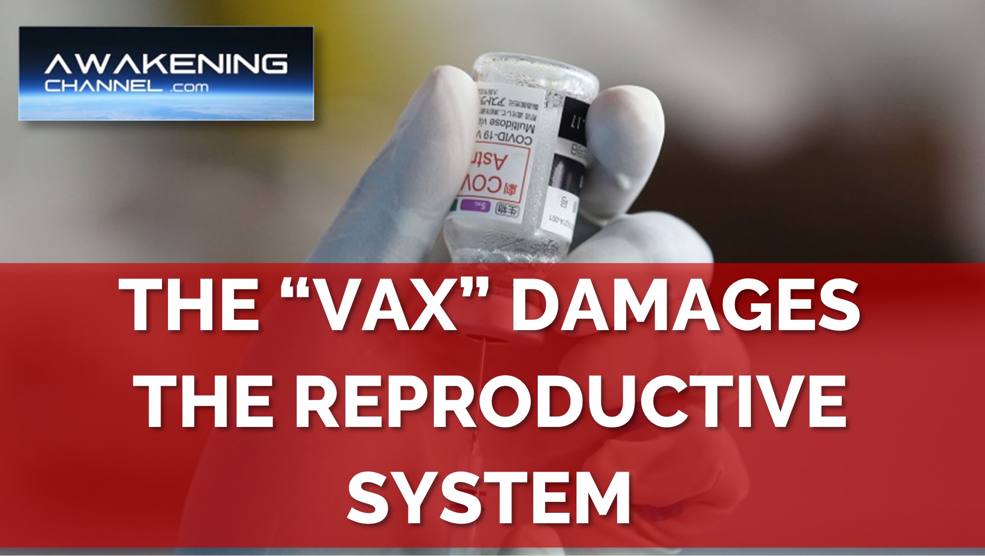 THE “VAX” DAMAGES THE REPRODUCTIVE SYSTEM