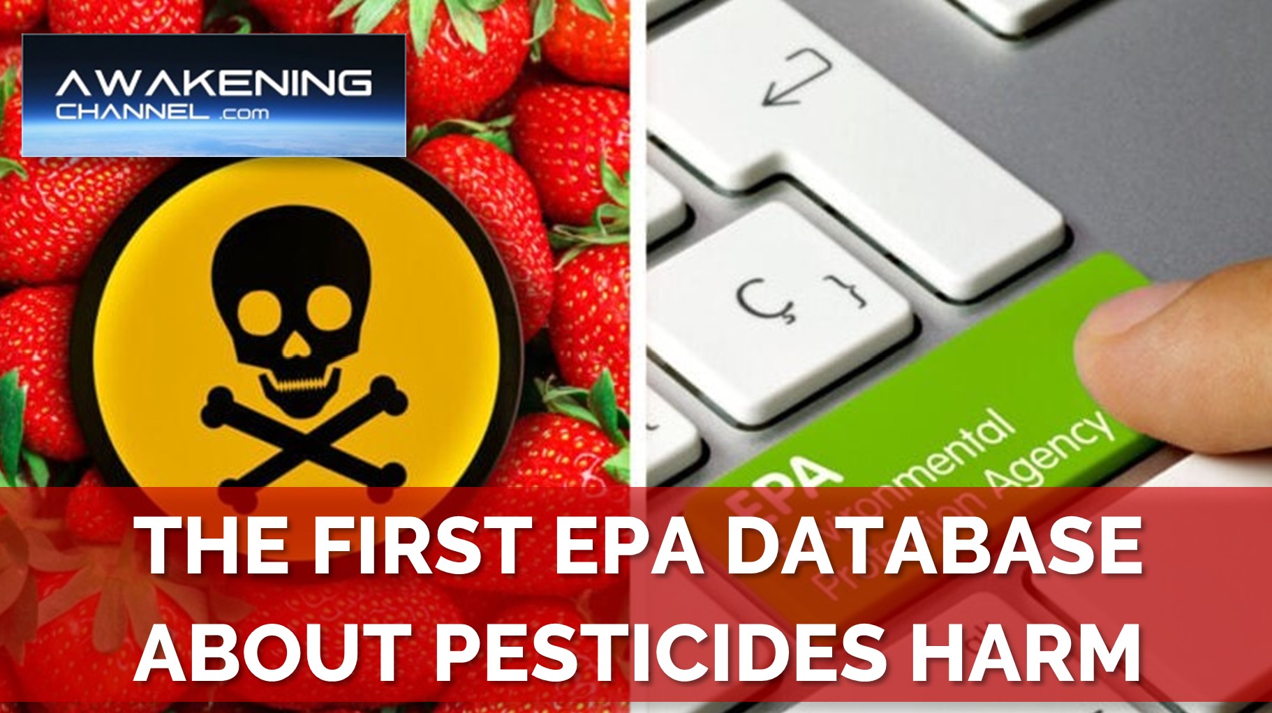 Pesticides harm. The first EPA database about pesticides
