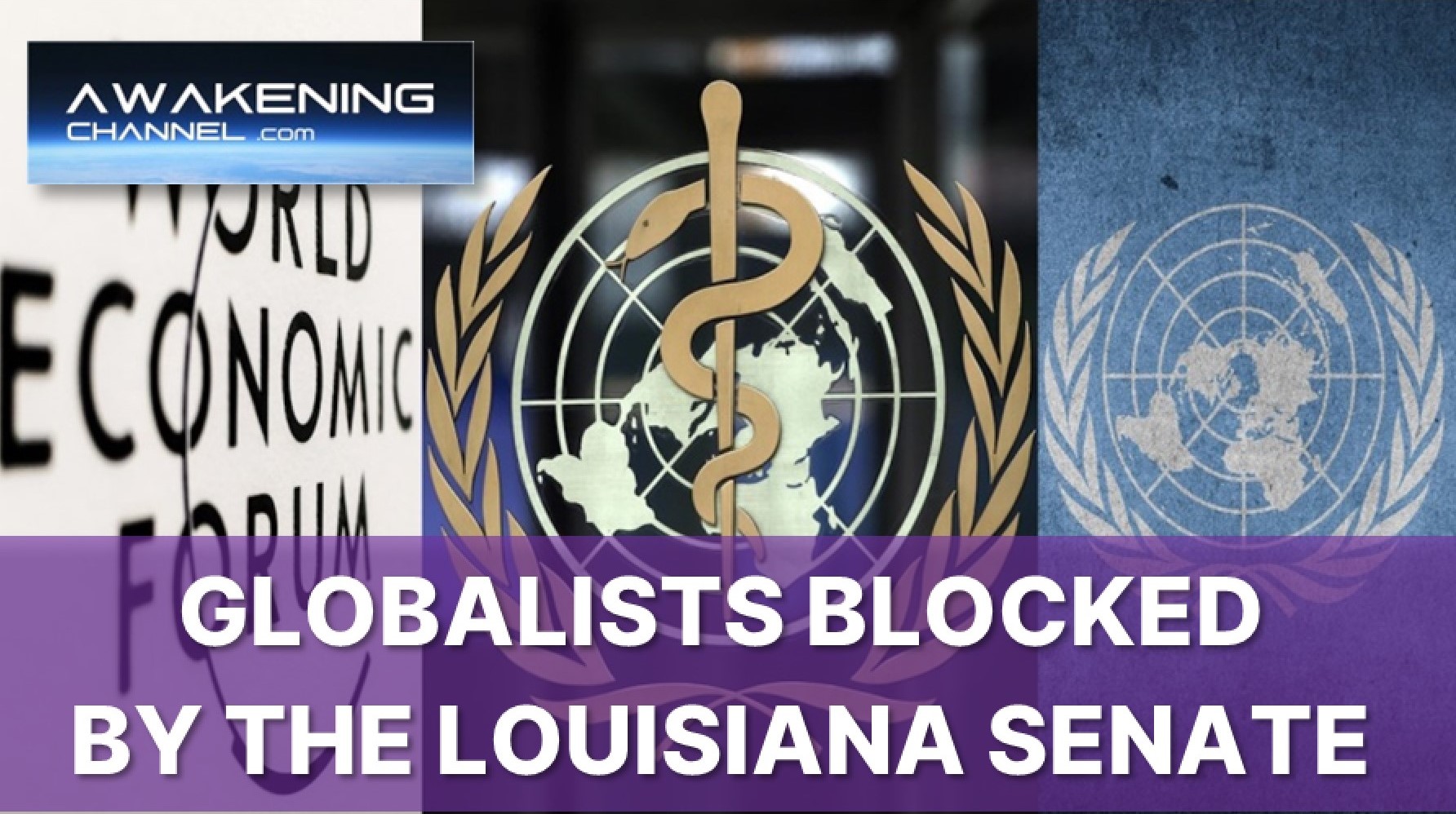 WHO, UN , And WEF Blocked By The Louisiana Senate.